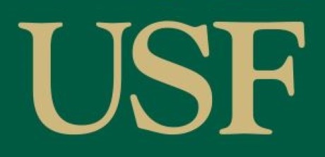 University of South Florida